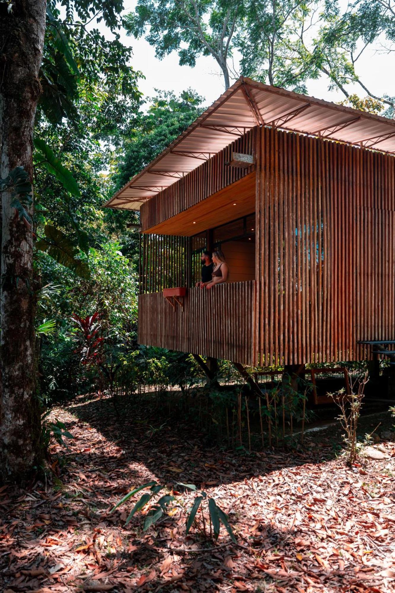 哈玛德里亚山林小屋 Puerto Misahuallí 外观 照片