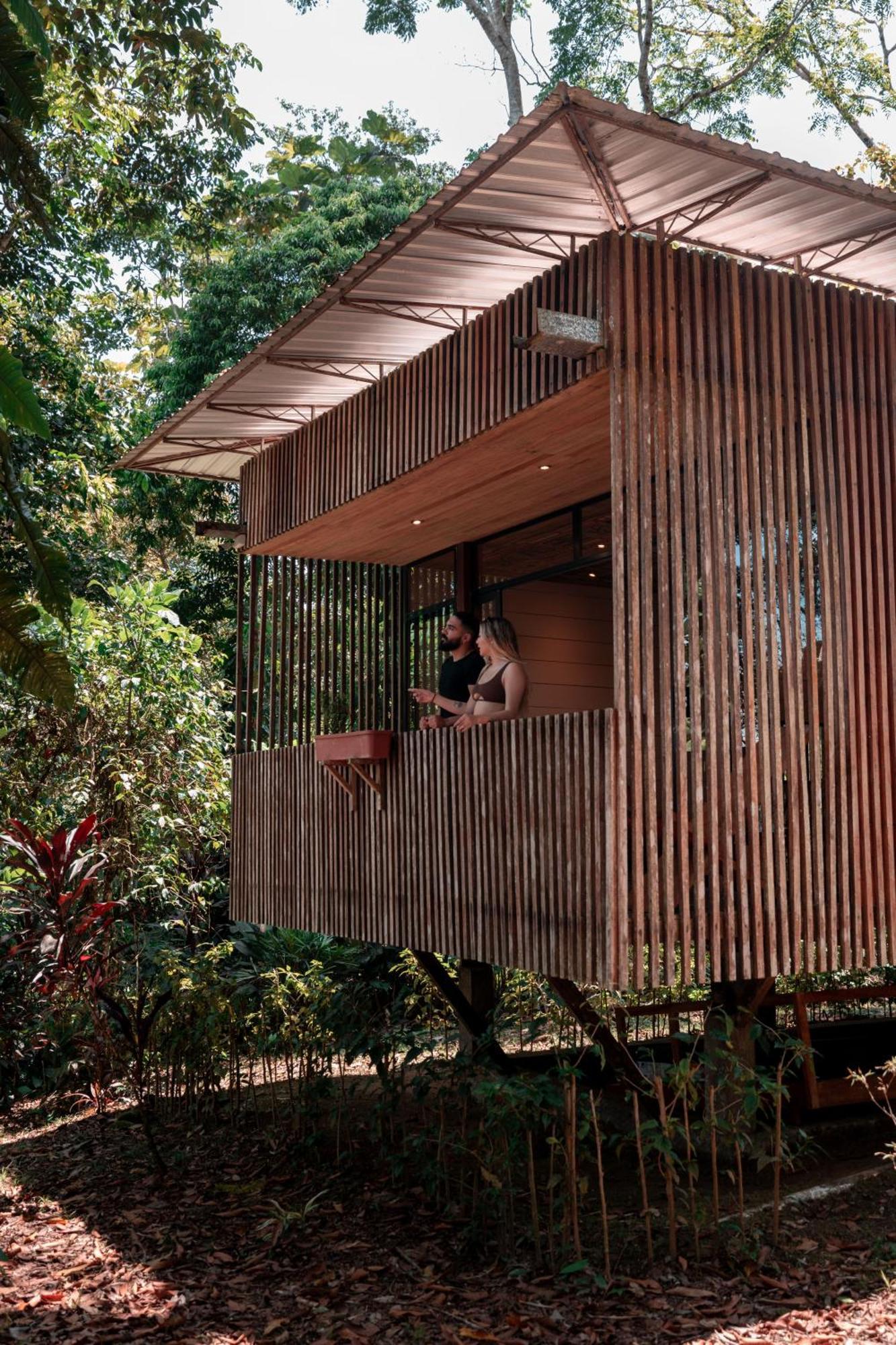 哈玛德里亚山林小屋 Puerto Misahuallí 外观 照片