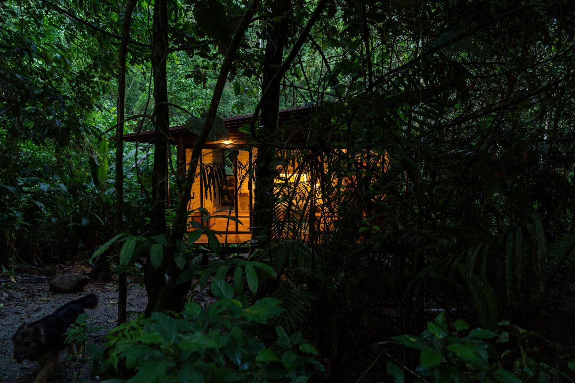 哈玛德里亚山林小屋 Puerto Misahuallí 外观 照片